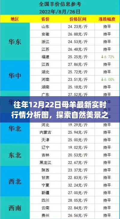 2024年12月26日 第16页