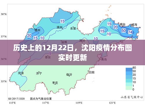 沈阳疫情分布图实时更新，历史日期下的疫情动态观察