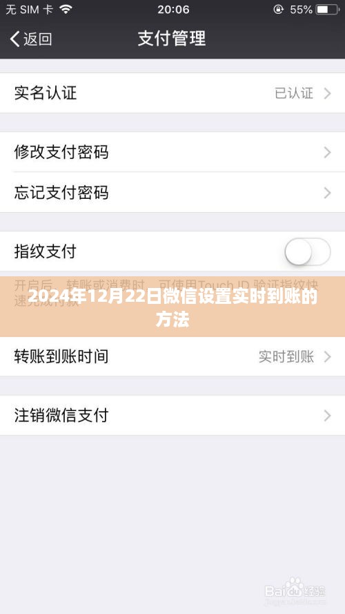 微信设置实时到账教程，操作指南与步骤（2024年）