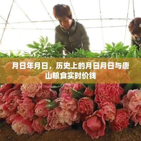 唐山粮食实时价格与历史上的重要日期关联研究