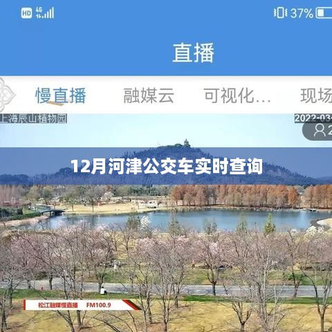 河津市公交车实时查询系统（12月版）