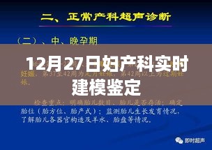 妇产科实时建模鉴定，深度解读与探讨