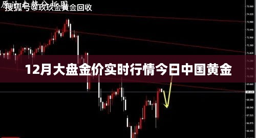 中国黄金今日实时行情大盘金价分析