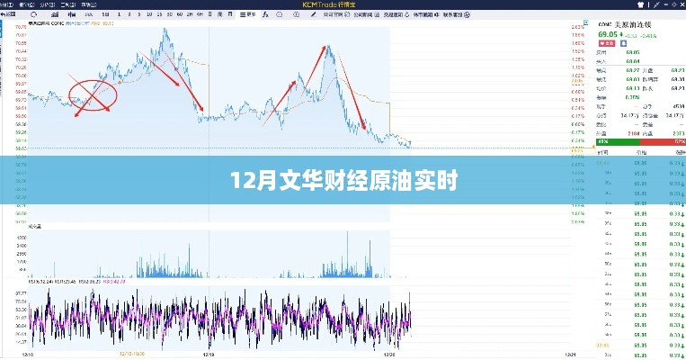 文华财经原油实时行情分析