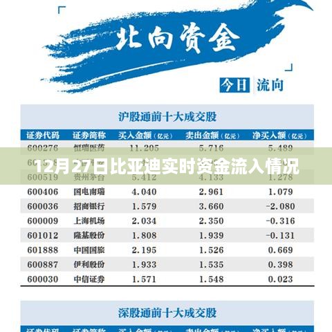 比亚迪实时资金流入概况，最新动态分析