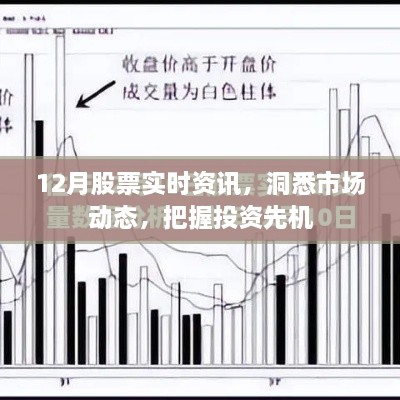 12月股市动态解析，实时资讯助你把握投资先机