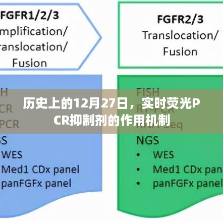 荧光PCR抑制剂作用机制的历史解读，揭秘其在12月27日的实时影响