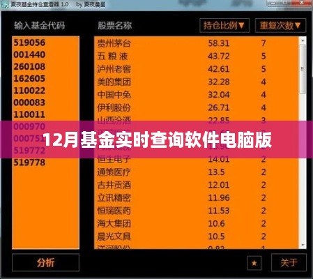 电脑版基金实时查询软件，十二月最新动态