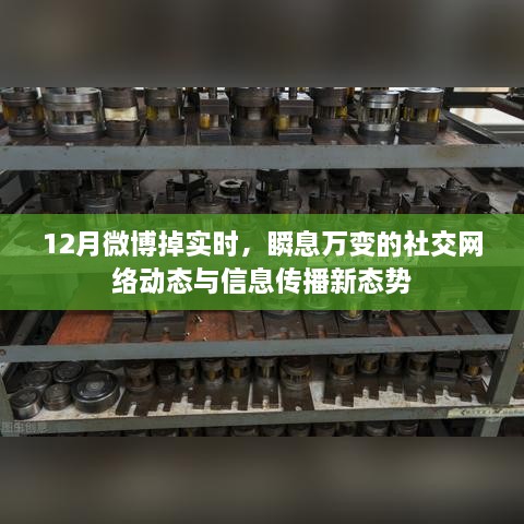 社交网络动态变迁，微博实时调整与信息传播新态势