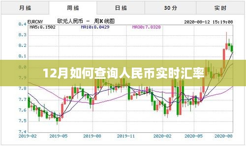 12月实时人民币汇率查询指南