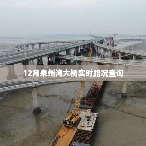 泉州湾大桥实时路况查询（实时更新）