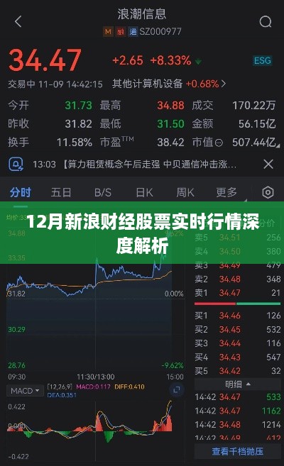 新浪财经股票实时行情深度解析，12月市场走势分析