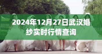 武汉婚纱最新行情，2024年12月27日实时查询