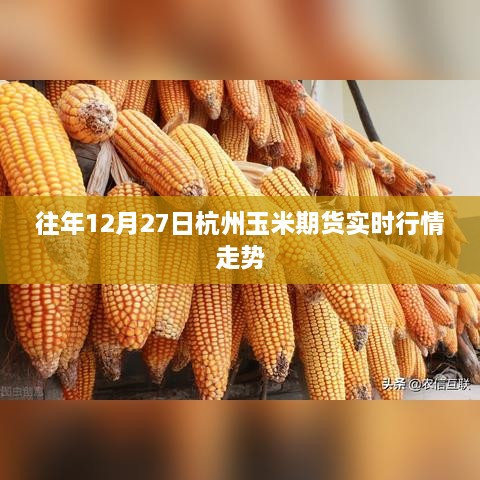 杭州玉米期货历年12月27日实时行情走势分析