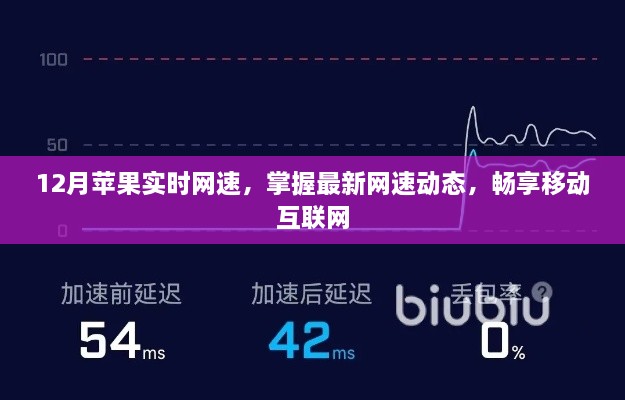 12月苹果网速实时更新，轻松掌握网速动态，畅游网络世界