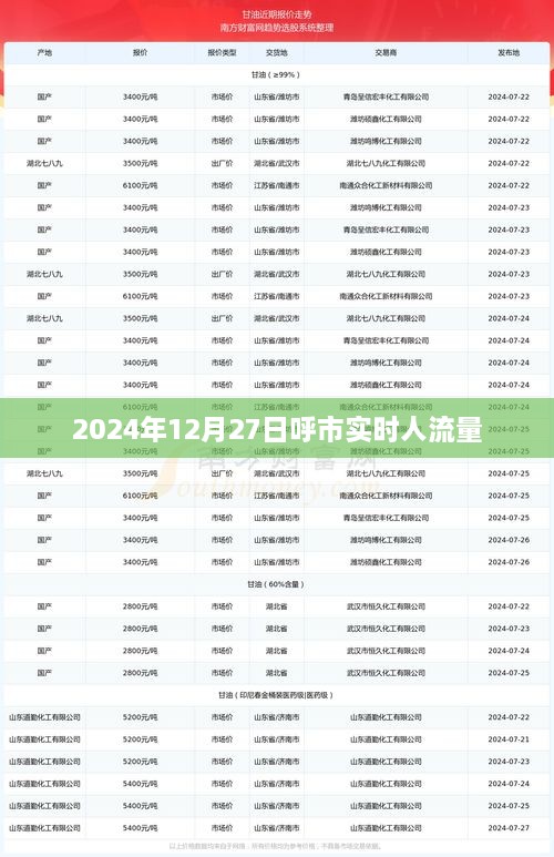 呼市实时人流量数据，2024年12月27日