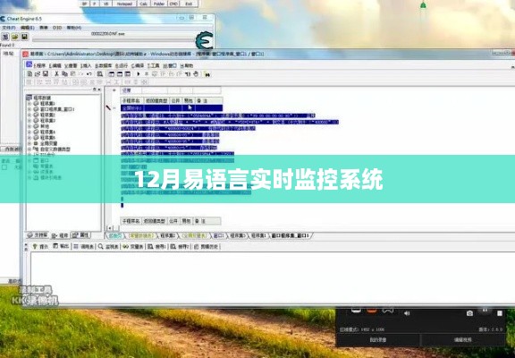 易语言实时监控系统，12月新功能解析