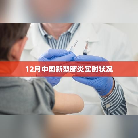 中国新型肺炎实时状况（截至12月）