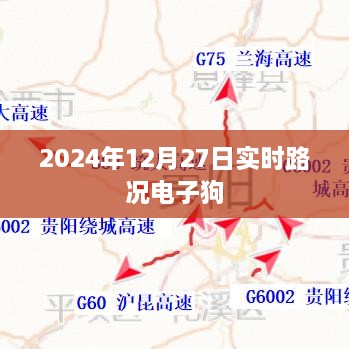 实时路况电子狗，掌握路况，出行无忧