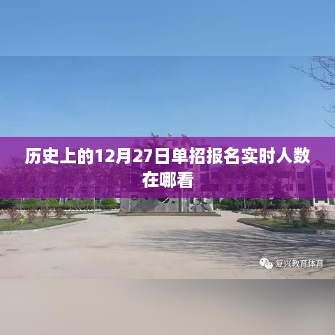 历史中的单招报名动态，实时人数查询指南