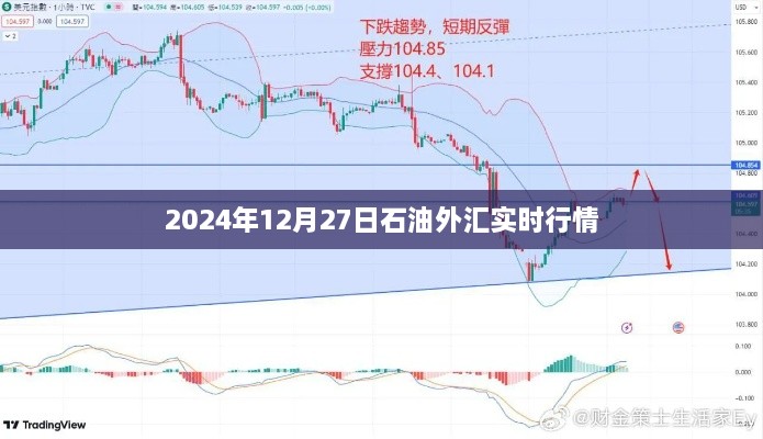 2024年12月27日石油外汇市场实时动态分析