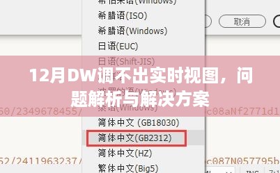 DW实时视图故障解析与解决方案，12月操作指南