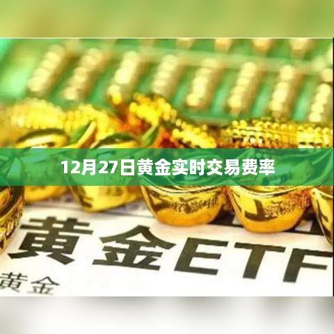 黄金交易费率实时更新，掌握市场动态