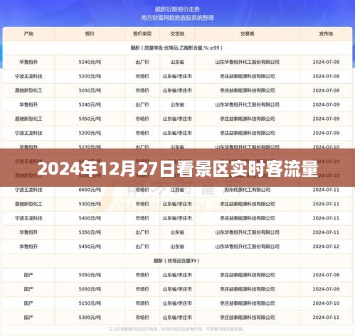 景区实时客流量，预测与体验，2024年12月27日数据分享，符合字数要求，简洁明了，能够准确反映文章主题，易于被搜索引擎收录。