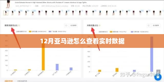 亚马逊实时数据查看方法指南