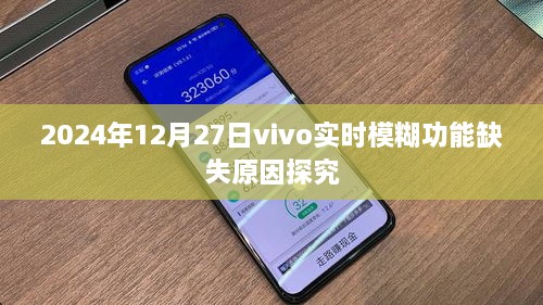 vivo实时模糊功能缺失原因深度解析