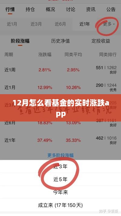 12月基金实时涨跌查询APP一览