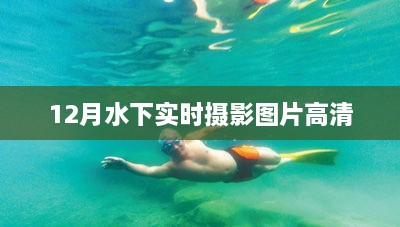 水下世界探秘，高清实时摄影图片欣赏