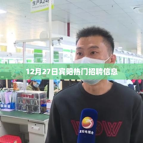 宾阳最新招聘信息速递，12月27日职位热点汇总