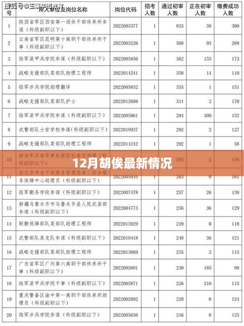 胡俟最新消息曝光，十二月最新动态