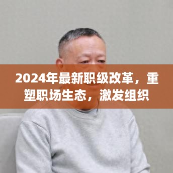 2024职级改革重塑职场生态，激发组织新活力