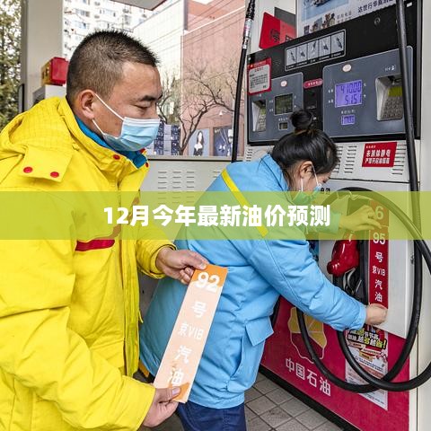 最新油价趋势预测报告发布，12月油价走势分析