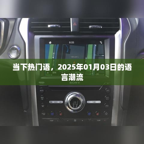 当下热门语言潮流，2025年语言趋势展望