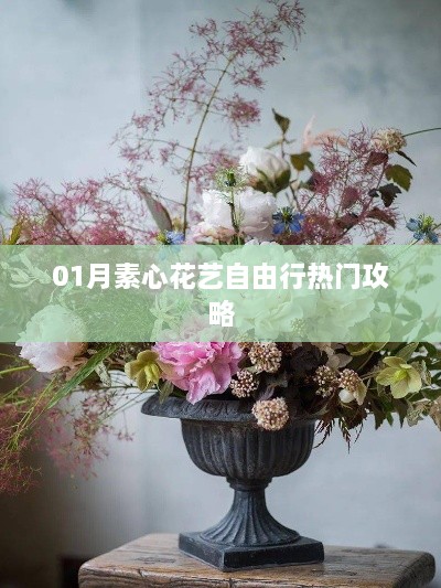 01月素心花艺自由行，热门攻略大揭秘