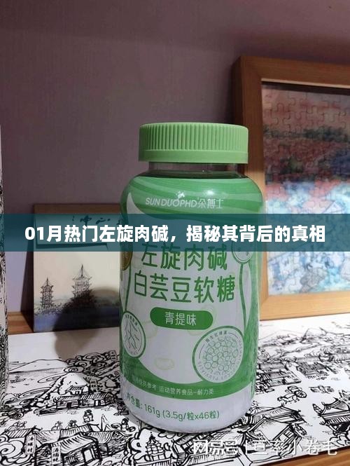 揭秘左旋肉碱背后的真相，一月热门热议话题