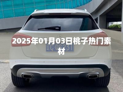 『2025年桃子素材大热，精选素材一览』