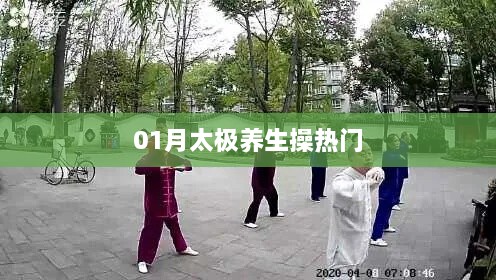 太极养生操一月热门来袭