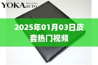 皮套热门视频大盘点，2025年精选回顾