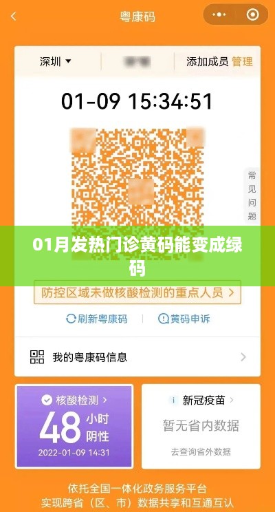 一月内发热门诊后黄码转绿码指南