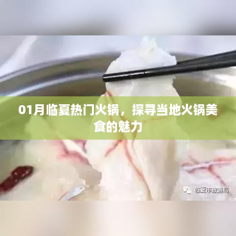 临夏火锅美食探秘，一月热门火锅盘点