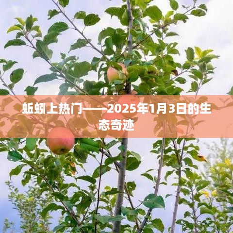 蚯蚓生态奇迹，2025年1月3日的特殊时刻