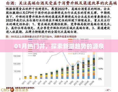 探索新潮趋势源泉，热门井一月新动态