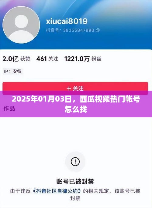 西瓜视频热门帐号寻找攻略，2025年1月3日攻略分享