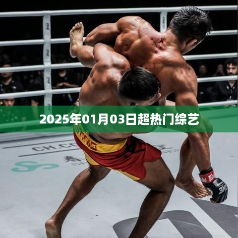 综艺盛宴，2025年元旦热门节目一览