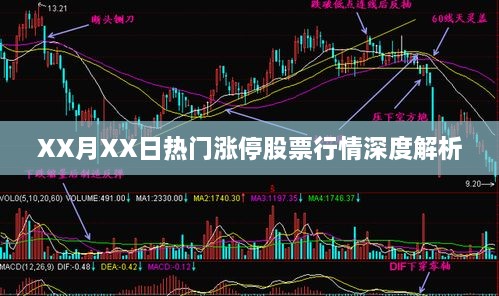 XX月XX日股市涨停股票行情深度解析