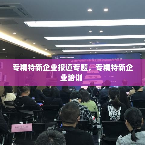 专精特新企业报道专题，专精特新企业培训 